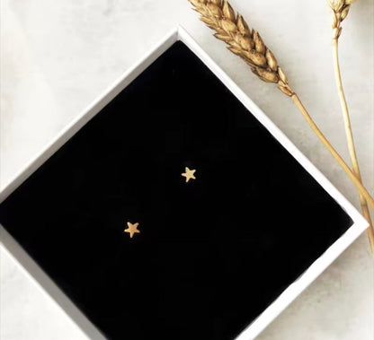 14K Gold Filled Dainty Star Stud Earrings